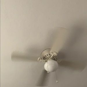 Meet your Posher, Danya